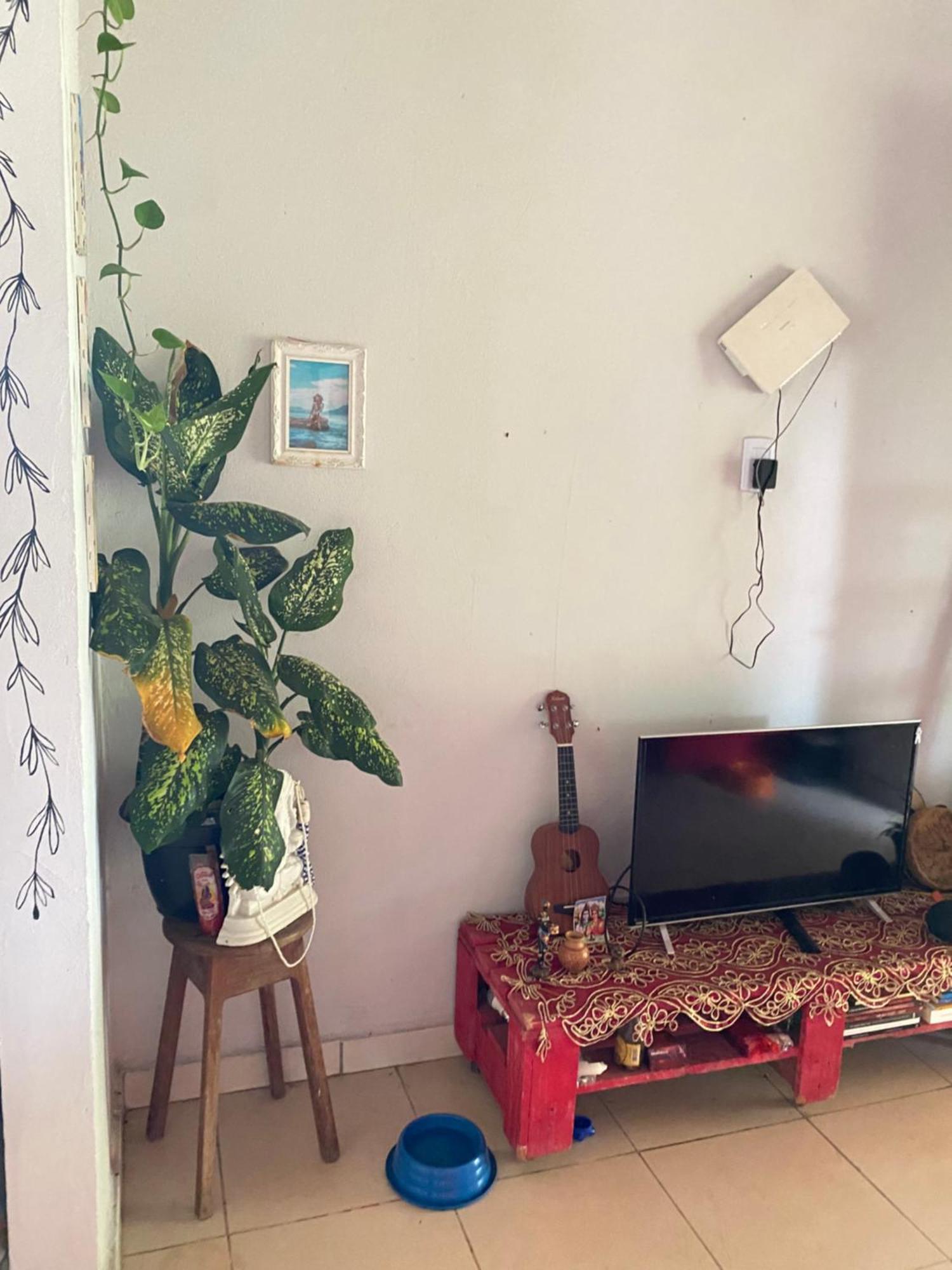 Casa Na Floresta Cosmica Ананиндеуа Екстериор снимка